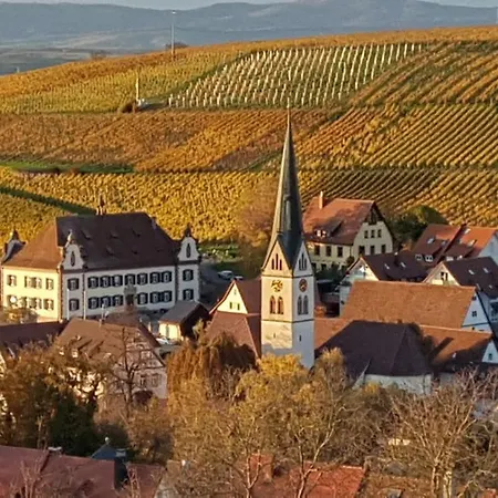 Weinbergglueck アパート Ebringen