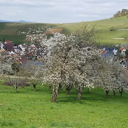 Weinbergglueck アパート *